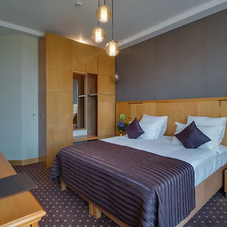 Ark Palace Hotel&spa Hotel