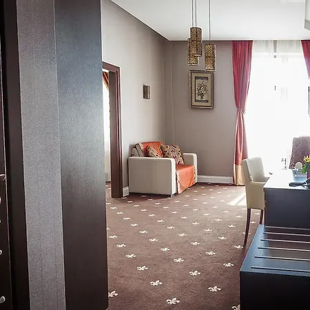 Ark Palace & Otel 4*